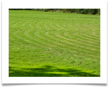 Curved Mowing - Oughtrington - Denis McAllister